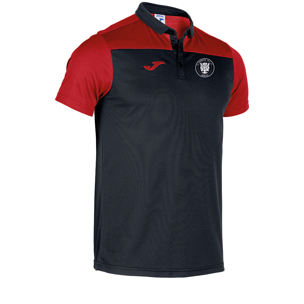 Hobby Polo Germania Okriftel