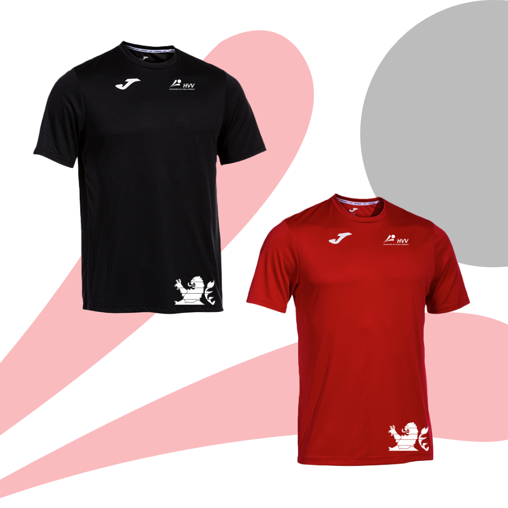 Einspielshirt HVV